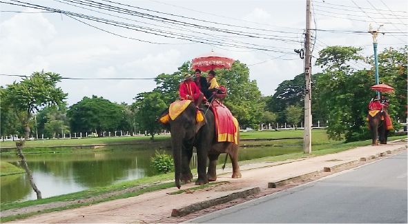タイといえば象